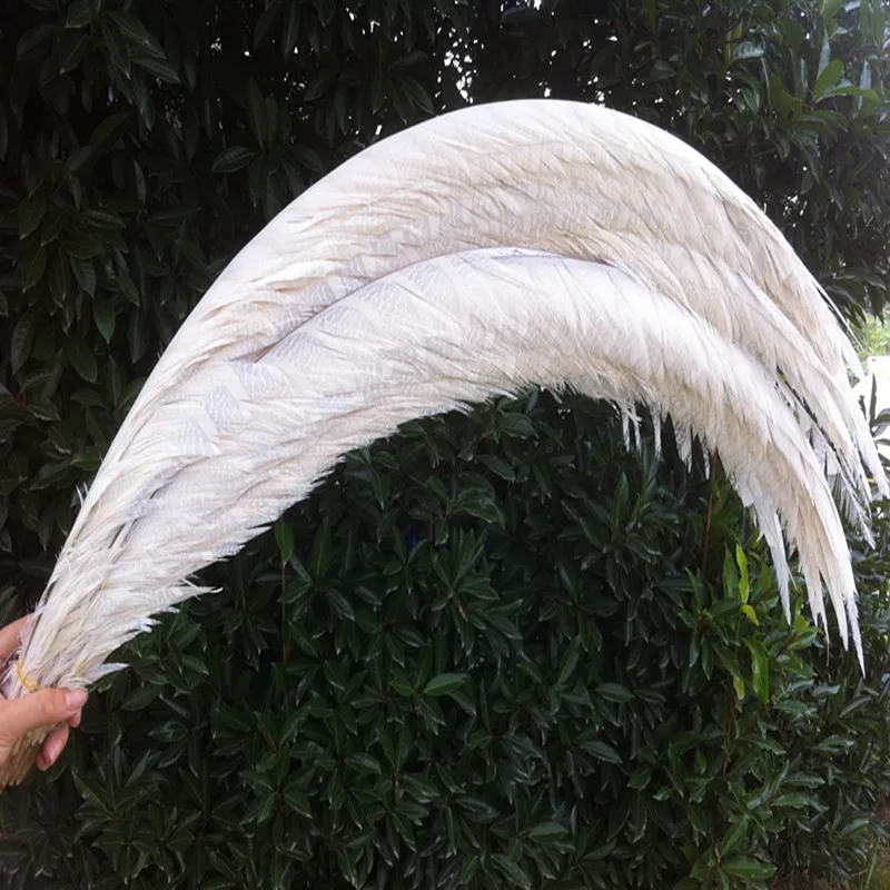 

10 pcs/lot 32-36inch/80-90cm White Lady Amherst Pheasant feather for Home Decoration,Wedding Party Decoration