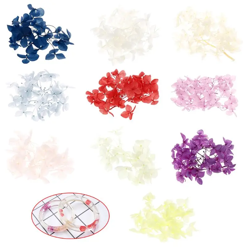 

Epoxy Resin Materials Dry Flower Hydrangeas DIY Handmade Crafts Decoration Filler Filling Natural Floral Bookmark Label Jewelry