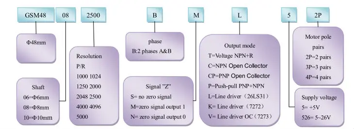 GSM48091