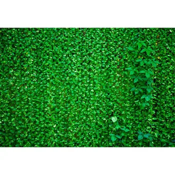 

Green Background For Photography Green Rattan With Leaves Backdrop For Indoor And Outdoor Activities Photo Studio Booth Props