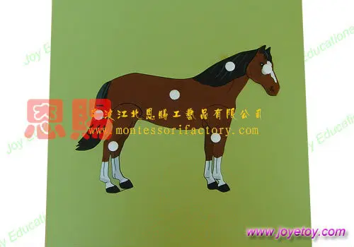 

new horse puzzle with skeleton montessori materials educational toys toys classic baby kids early learning educational wood 7011