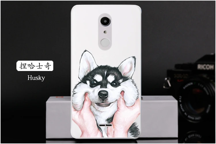  Husky