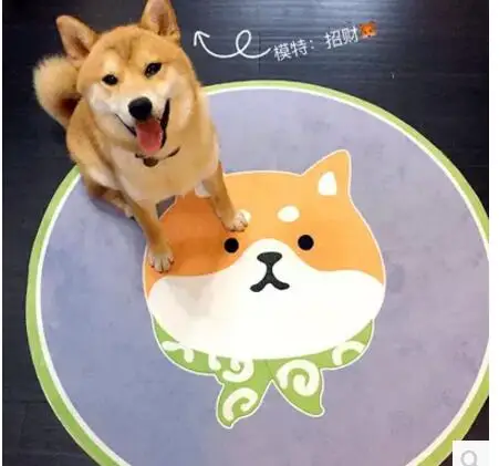 QQ20171227090731