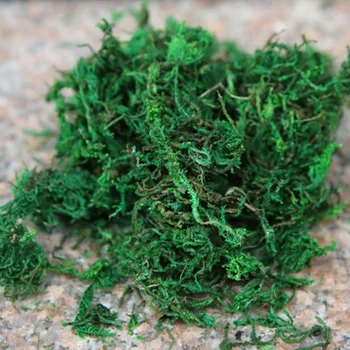 

2Packs Moss (Sold in per package of 5g) For DIY jewelry making glass globe necklace Fairy Dust Bottles DIY Bottles