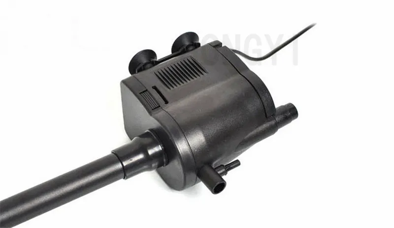 WP6
