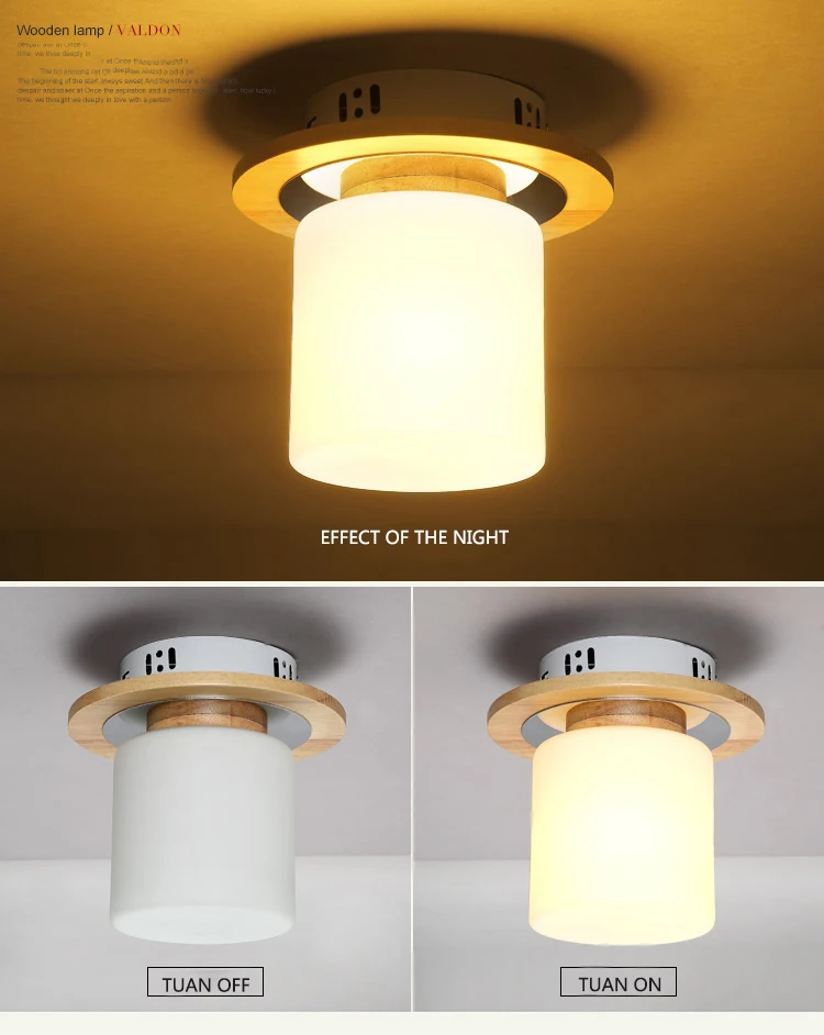 Ceiling Light Fixtures (7)