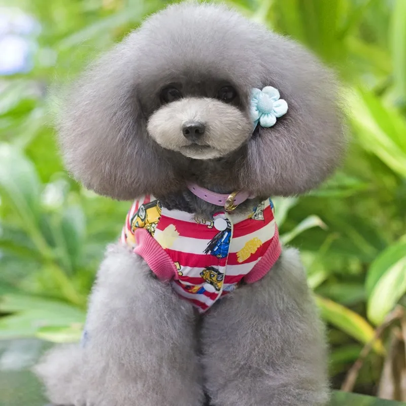 New winter fashion pet cotton clothes car printing dog clothes Teddy puppy clothes Pet supplies Four-leg link dog coat