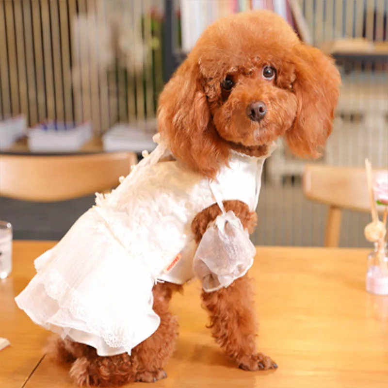 

Puppy clothes Teddy bear Xiong Bomei law fighting cattle Schnauzer Fawn dog small puppies pet wedding dress