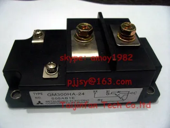 

New GTR Module QM300HA-24
