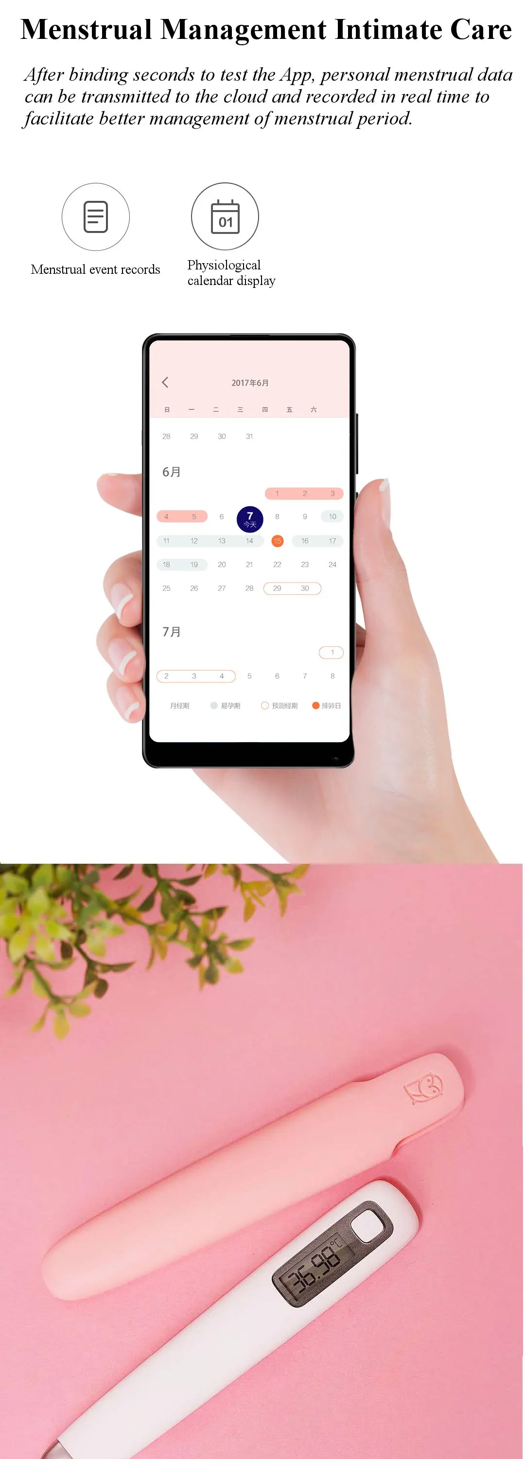 Xiaomi Women Scientific Pregnancy Basic Thermometer