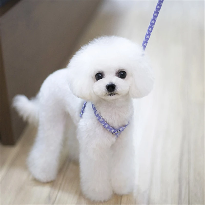 

Pet Products Dog Supplies Soft Cotton Dog Harness And Leads