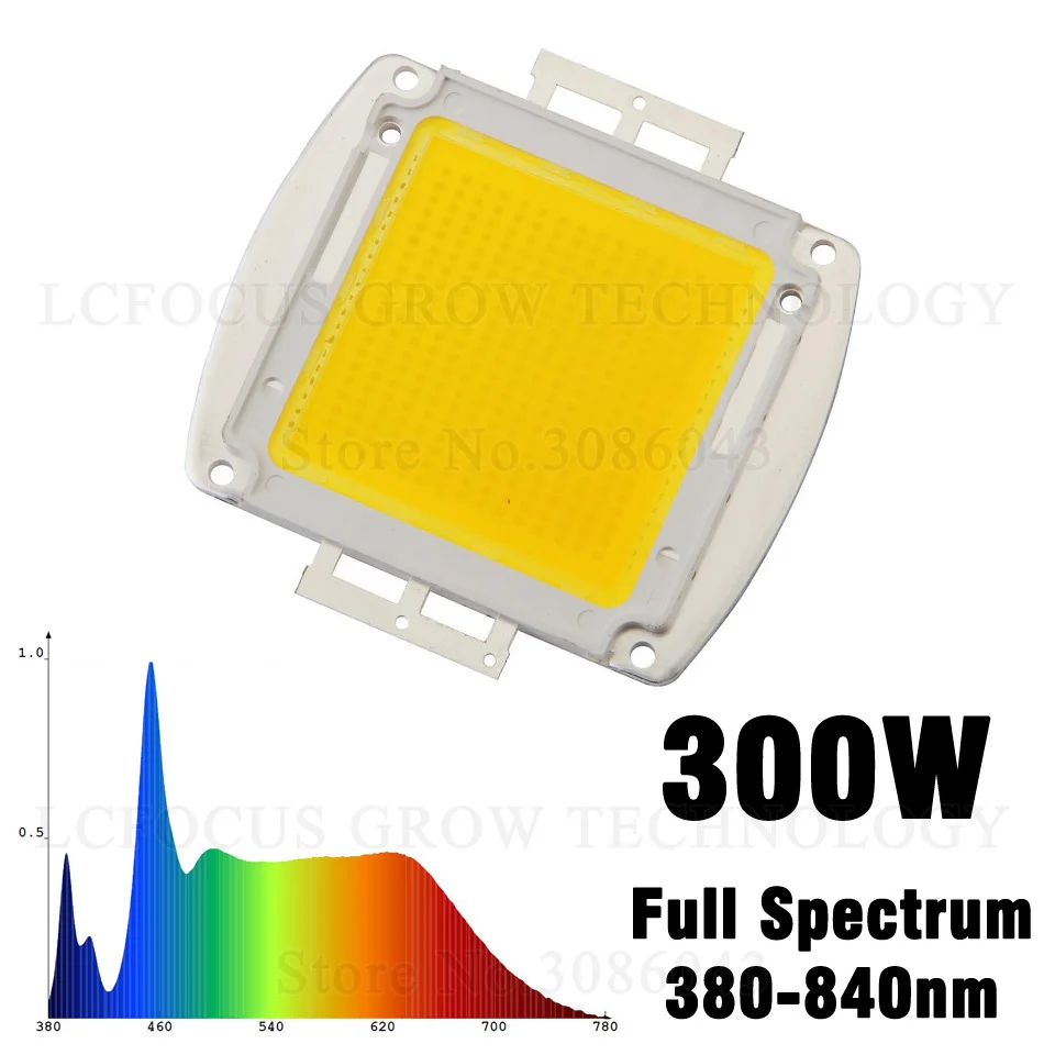 300W(1)