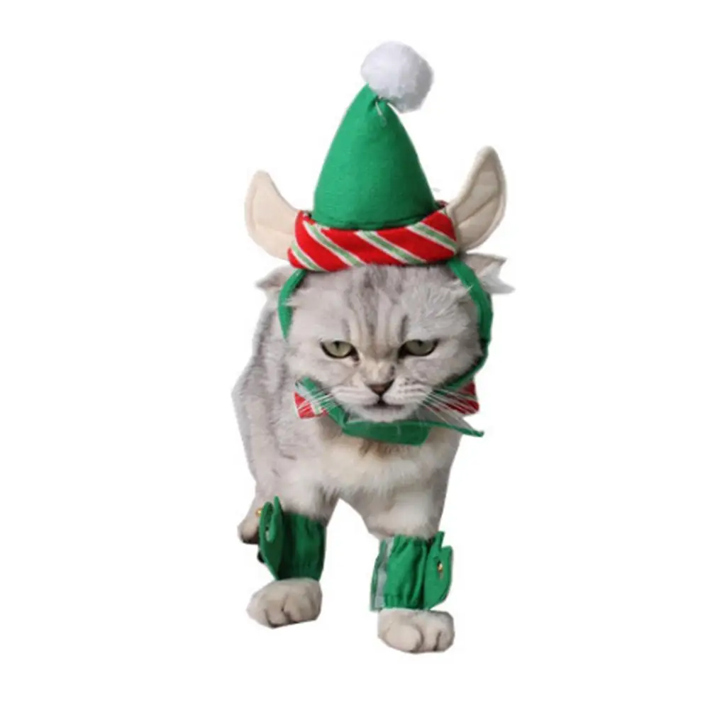 кот в костюме. кот в костюме. новогодний наряд для кошки. костюм эльфа для кота. новогодняя одежда для кошек.