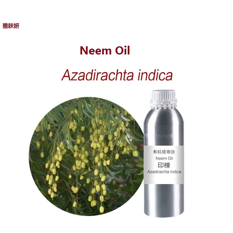 

10g/ml/bottle Neem essential oil base oil, organic cold pressed vegetable oil plant oil skin care oil free shipping