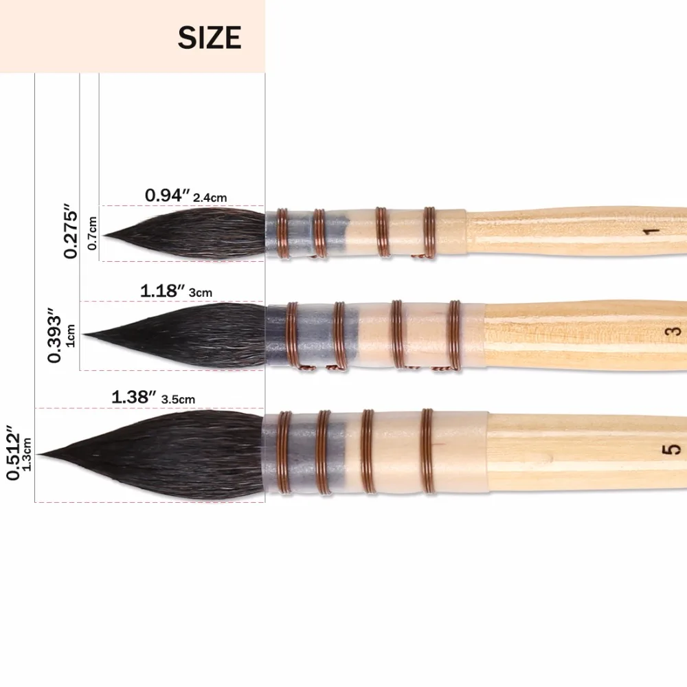 Kaufen Dainayw 3 Stücke 20RQ Eichhörnchen Haar Pinsel Set Kurzen Holzgriff Aquarell Pinsel für Künstler Zeichnung Kunst Liefert