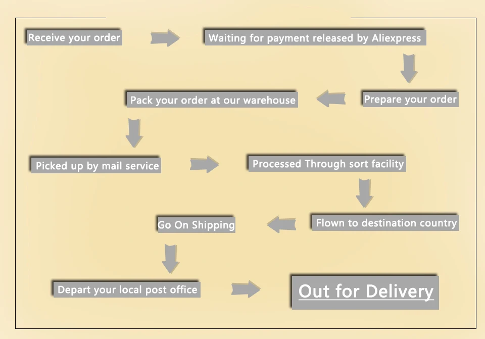11order proccess