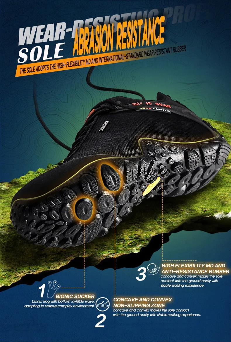 HTB1C5rhSFXXXXX3apXXq6xXFXXXt