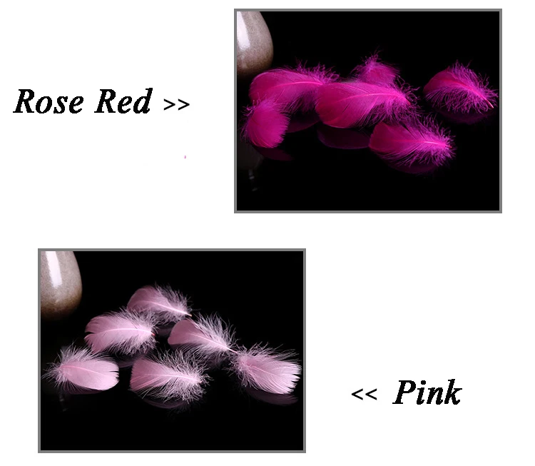 3253801731_1022353483