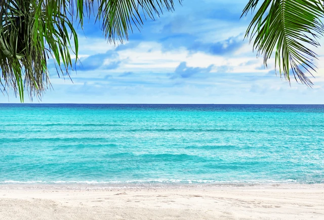 Photography Backdrops sea beach tropical scenery vinyl backdrop for photography blue sky Palm tree Hawaiian photocall XT-6914