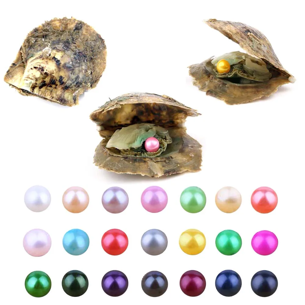 

20 PCS Akoya Pearl Oyster Cultured Love Wish Pearl Oysters with 7-8 mm Round Pearls Inside Birthday Gifts (Random Color)