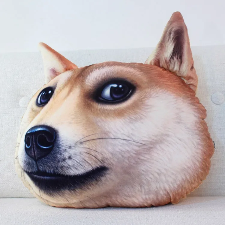 2847609239_226949168