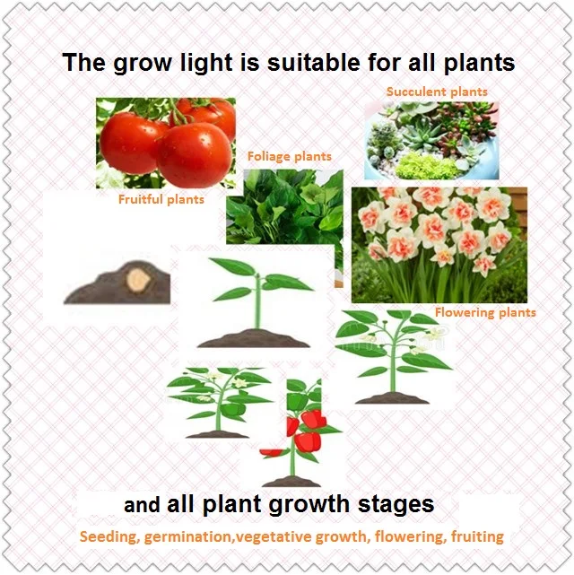 1000 W 2000 W 3000 W Cob Светодиодная лампа, для выращивания растений, с широким диапазонном! завод Свет для роста растений лампы для выращивания овощей, цветущих растений интегрированный бескорпусный чип светодио