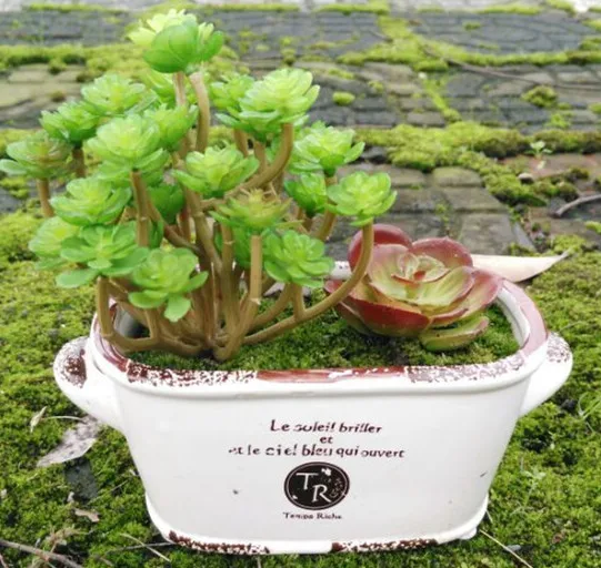 real touch succulents arrangement 2015 new zak artificial plants