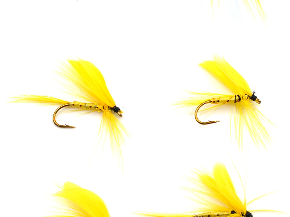 aa_02
