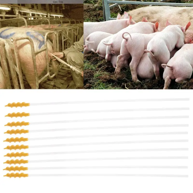 

10pcs Disposable Pigs Sheep Artificial Insemination Breed Catheter Tube Rod