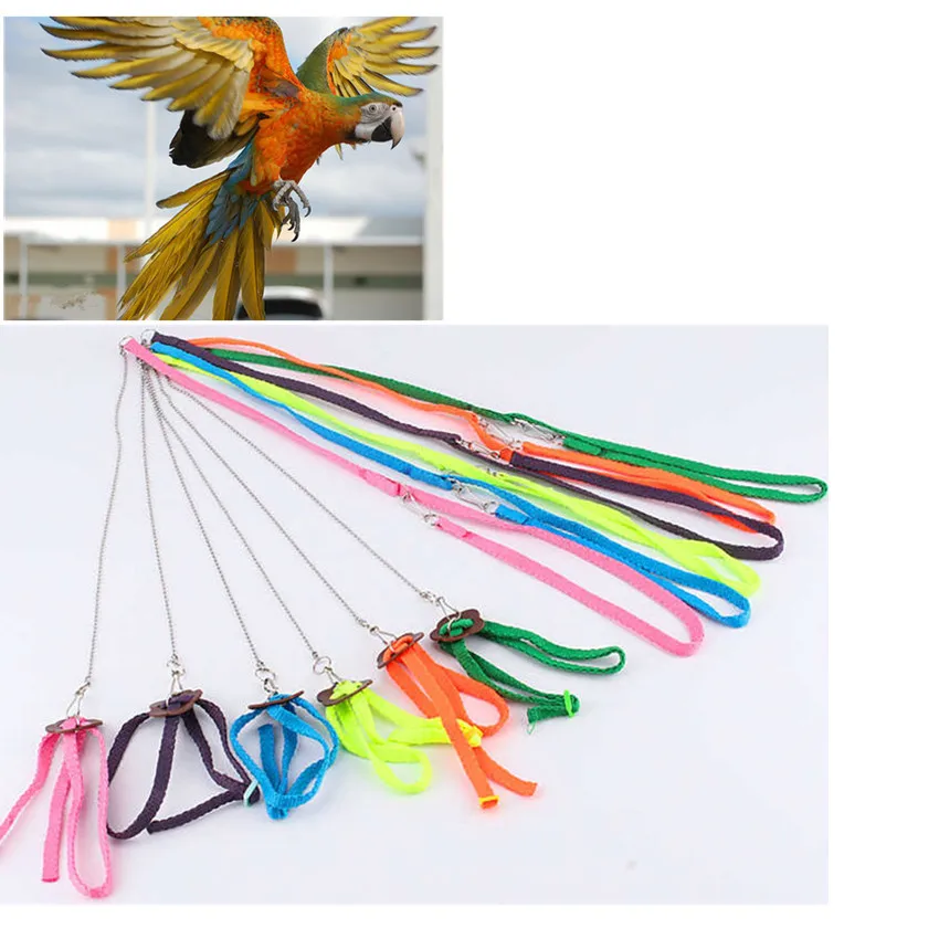 Buy Pets Parrot Bird Harness & Leash Anti bite