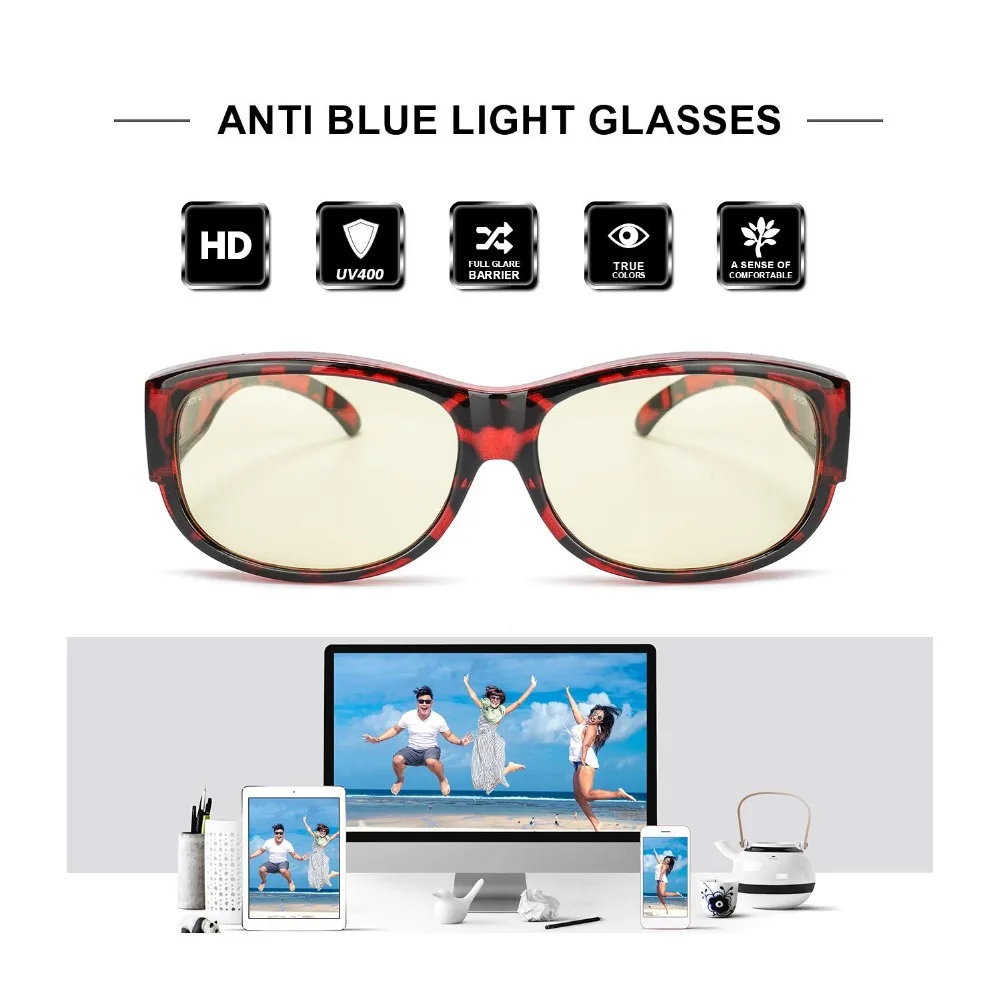 B02Red Tortoiseshell005