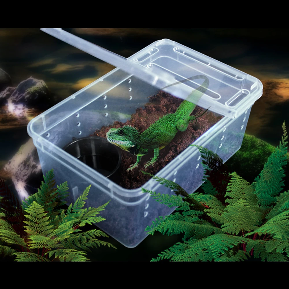 

High quality 2019 for Habitat lizard insect Amphibian Frog Spider 19*12.5*7.5CM Plastic Small Reptile Pets Feeding Cage Box