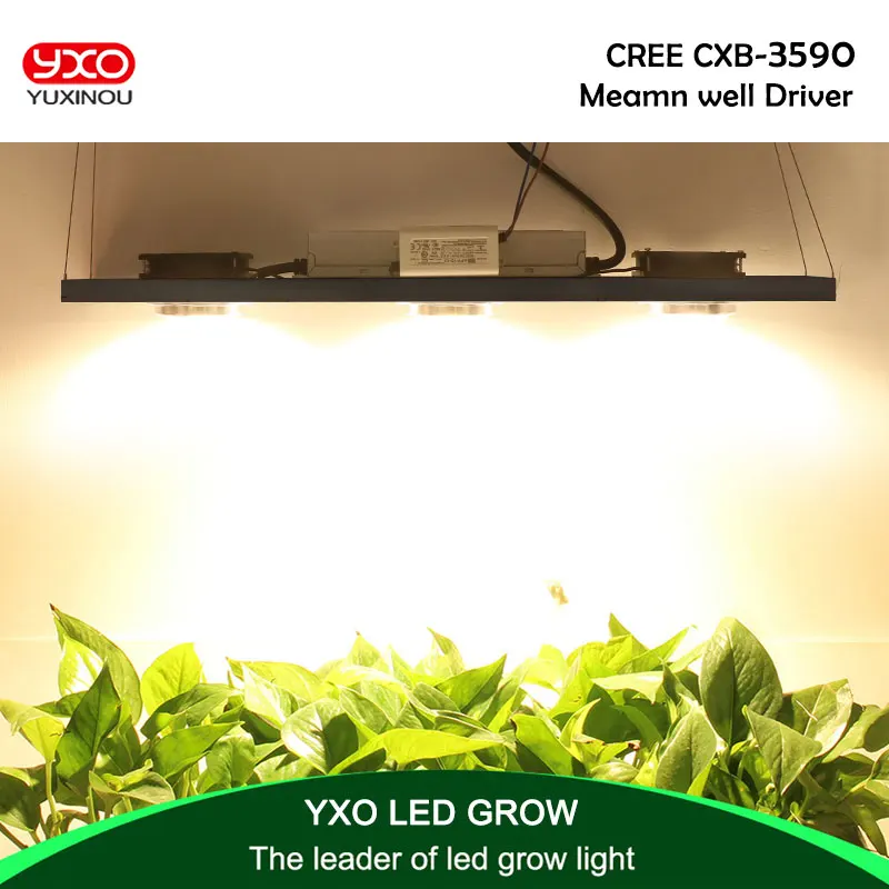 CREE CXB3590 300 Вт COB затемнения светодиодный светать полный спектр светодиодный светильник 38000LM = HPS 600 Вт растет лампы рост комнатное растение освещения