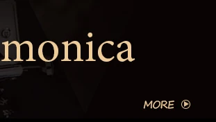 Harmonica_03
