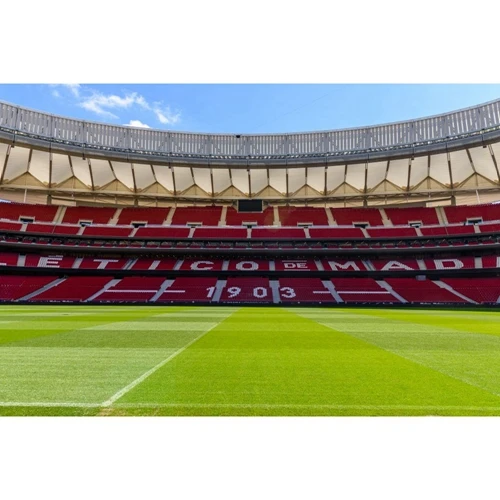 Laeacco レアル マドリー Cf サッカーフィールドスタンドサッカーチームポートレート撮影の背景写真の背景の写真 背景 Aliexpress