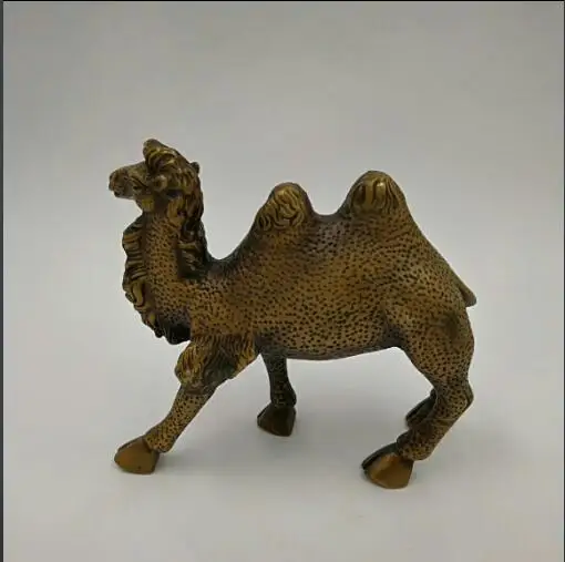 

Collect Chinese Bronze Fengshui camel Animal Statue
