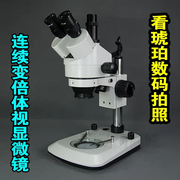 Zoom stereo microscope Amber Jade Coin appraisal of digital SLR photo