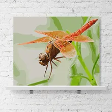 Домашний декор искусство печать Красная стрекоза художественная краска ing Кофе Ресторан краска собственного приготовления по номеру художественная живопись по номерам