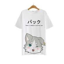 Новый Аниме Re: Нулевой Isekai кара Hajimeru Seikatsu Футболка Лето Cute cat Футболка Полиэстер С Коротким Рукавом