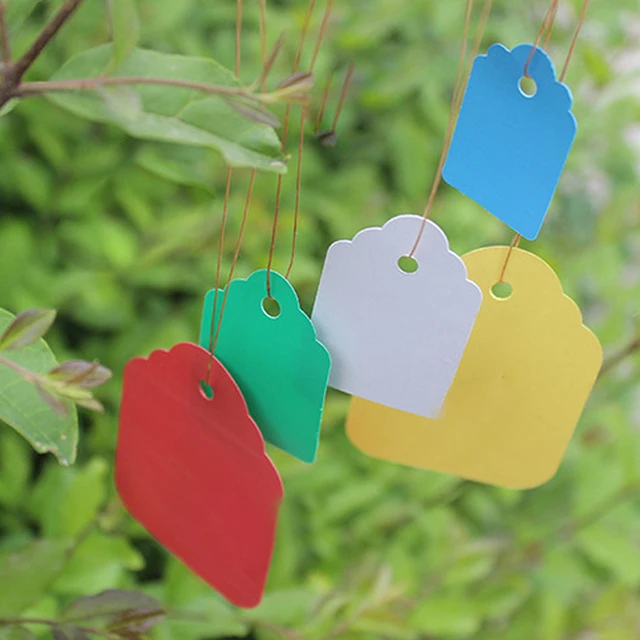 100Db/Készlet Tenyésztési Címke Kertészeti Üzem Pvc Vízálló Függő Jel Húsos Óvodai Stock Virágok Címkézés Csepp Aa - Image 3