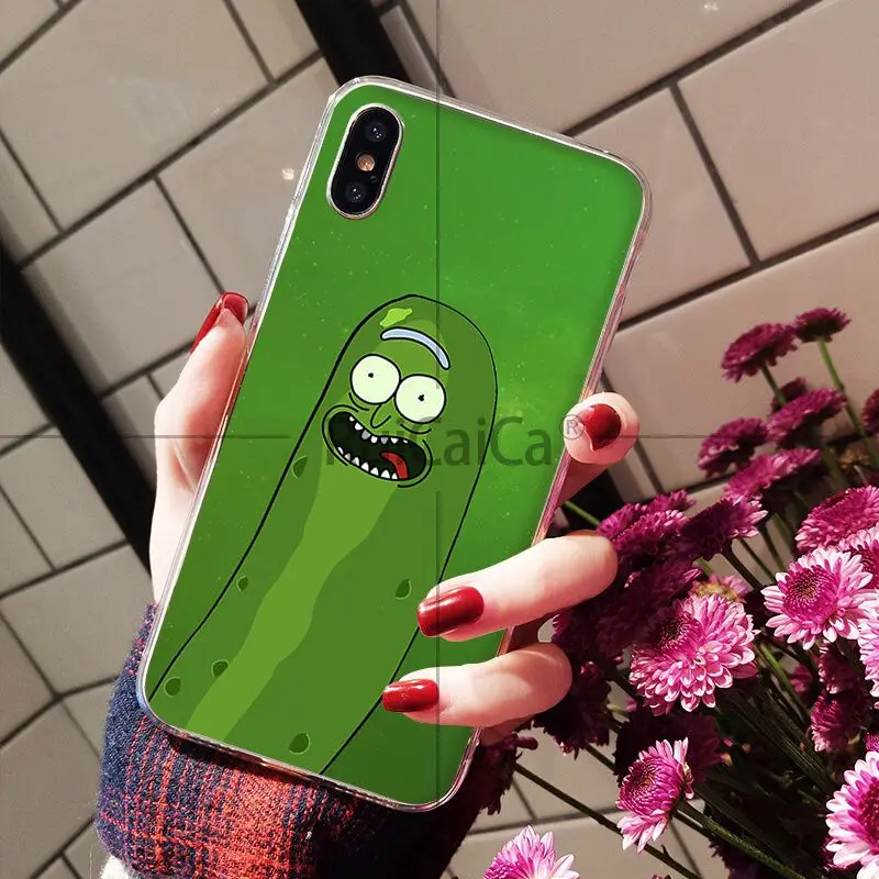 Rick and Morty pickle rick