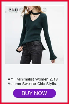 Amii, женский свитер с высоким воротом, Осень-зима, высокое качество, однотонный, эластичный, длинный рукав, шерсть, женский свитер размера плюс, пуловеры