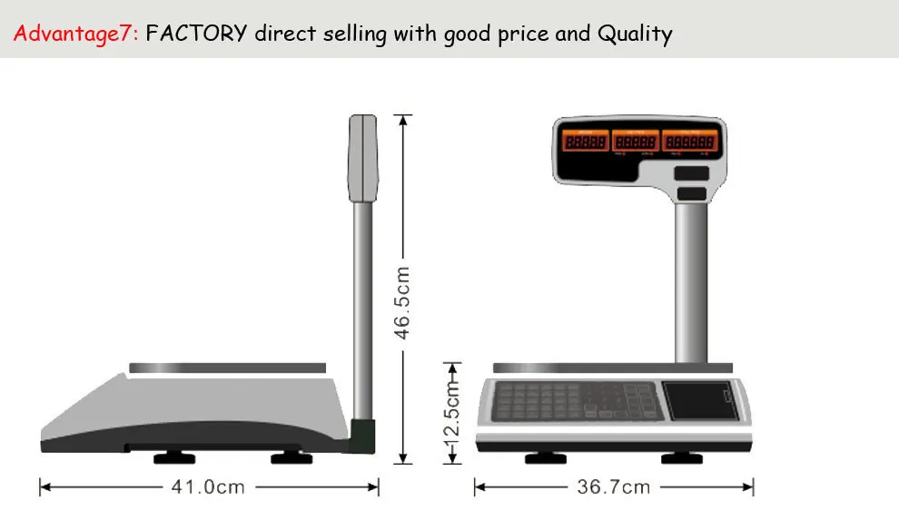 Высокая емкость Электронные цифровые весы с поддержкой чекового принтера Многоязычная печать