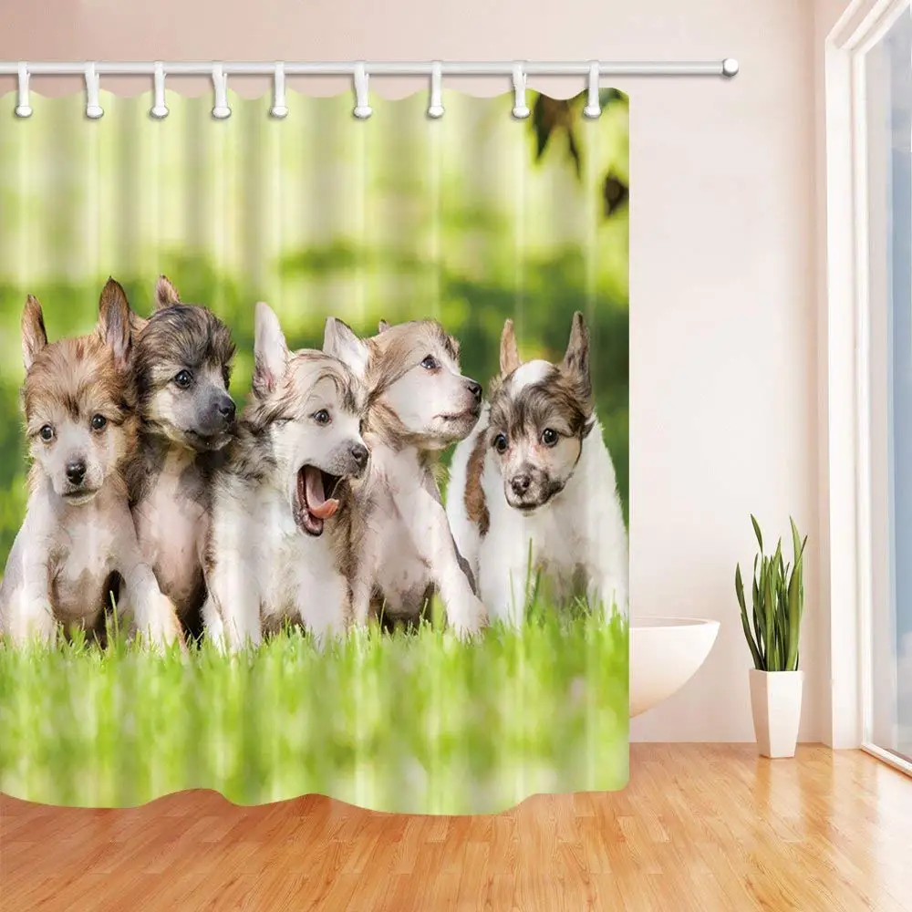 Animals Decor Cute Dogs on the Grass Bath Curtain Polyester Fabric
