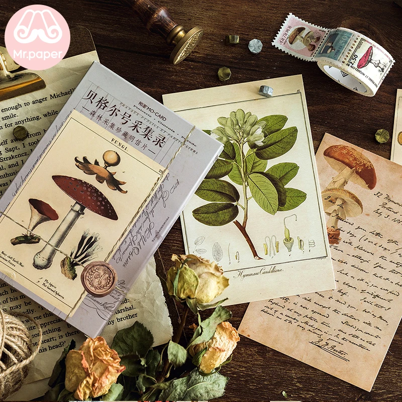 Mr.Paper 30pcs/box Ancient Forest Animals Plants Specimen Postcard Vintage Retro Style Creative Writing Greeting Gift Postcards