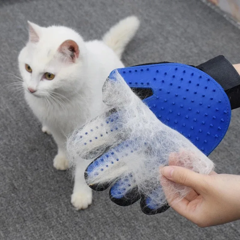 cat brush hand glove