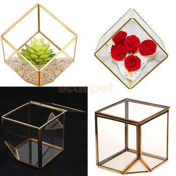 

Inclined Cube Geometric Terrarium Box Tabletop Succulent Plant Planter