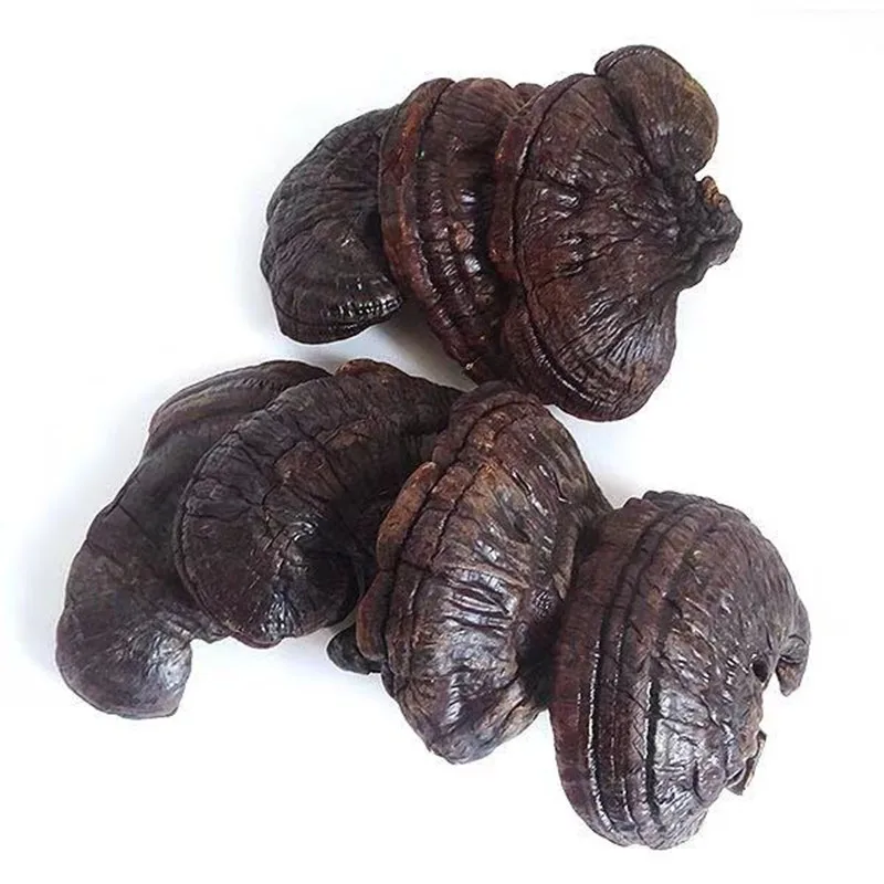 500g Changbai Mountain wild Ganoderma lucidum Ganoderma lucidum Enhance immunity, very nutritious Free Delivery