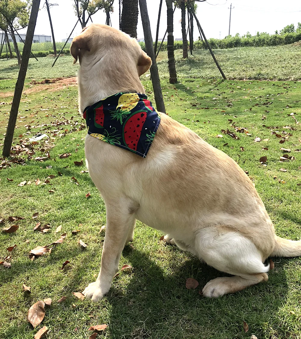 QQ20190412165805.jpg1