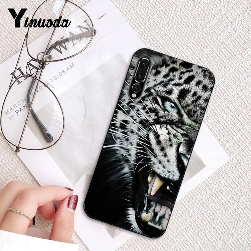 Russian version wolf tiger lion Leopard bear animal